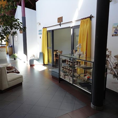 Hotel Lujan Lujan  Екстер'єр фото